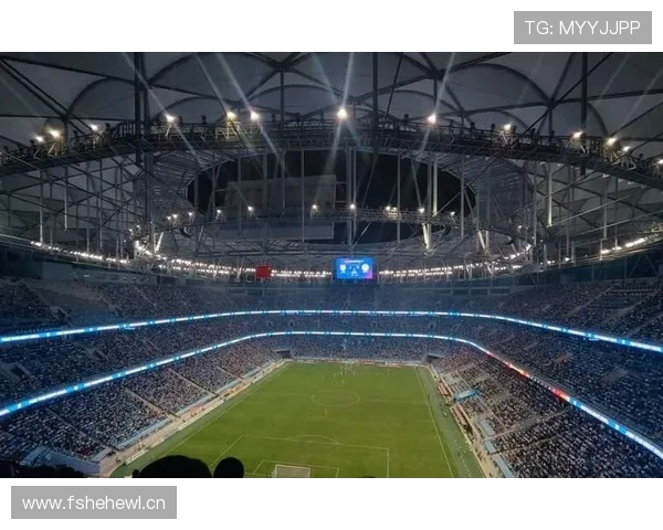 大连英博本赛季934048人：刷新中国足球主场世界纪录！